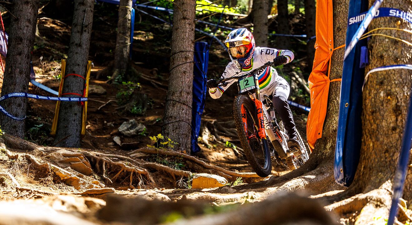 World cup online downhill mountain biking